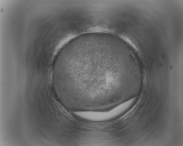 X0000087681358200705181719