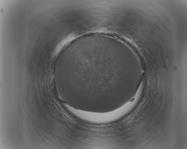 X0000087681359200705181719