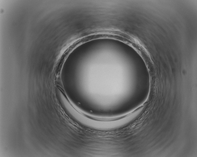 X0000087681360200705181719