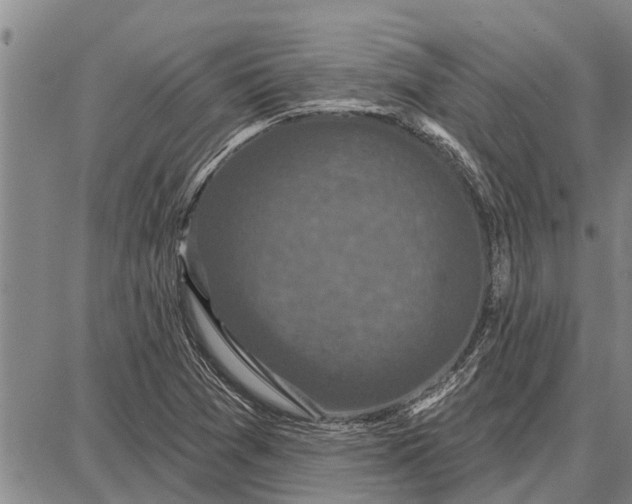 X0000087681361200705181719