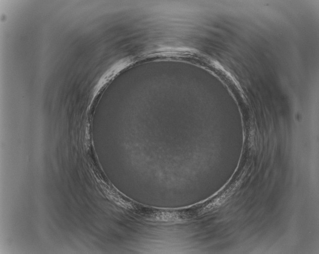 X0000087681362200705181719