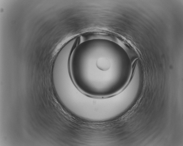 X0000087681363200705181719