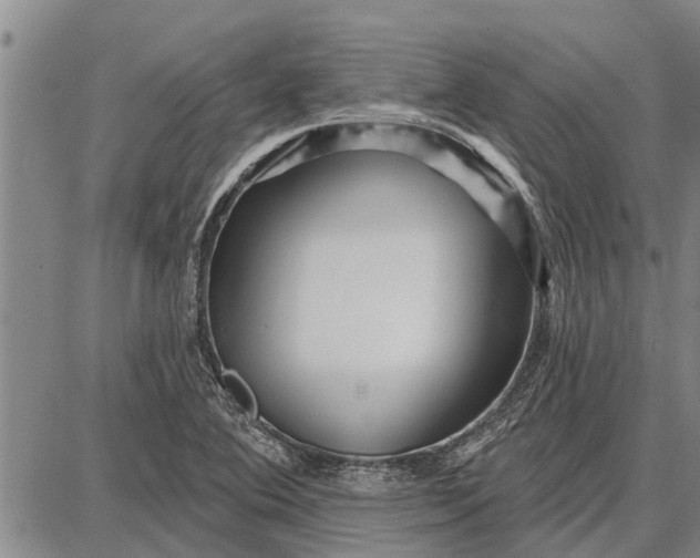 X0000087681364200705181719