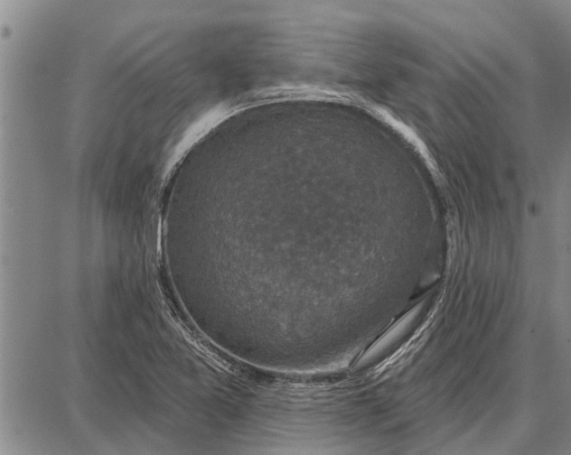 X0000087681365200705181719