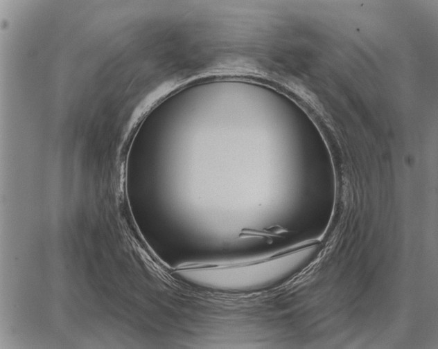 X0000087681366200705181719