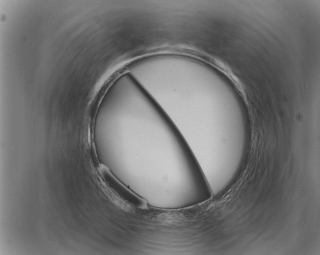 X0000087681368200705181719