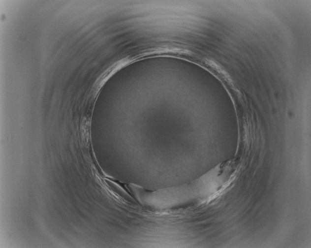 X0000087681369200705181719