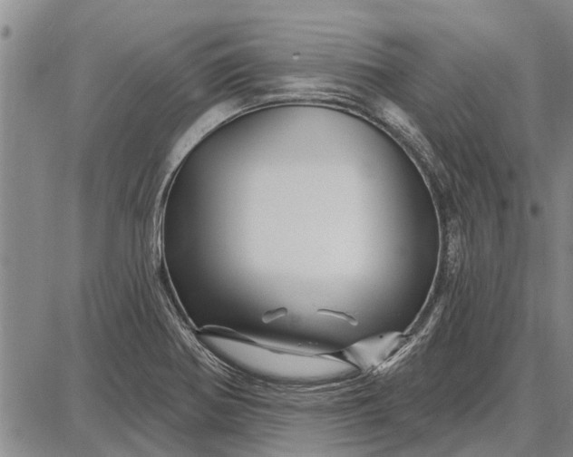 X0000087681370200705181719