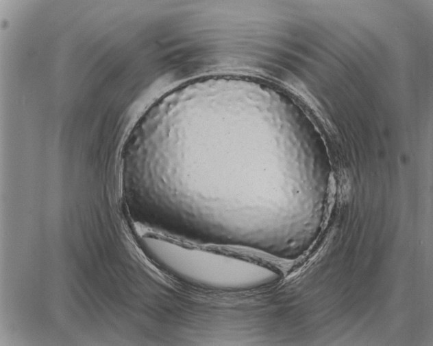 X0000087681371200705181719