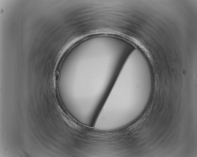 X0000087681372200705181719