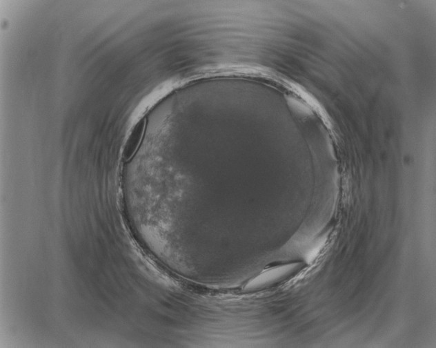 X0000087681373200705181719