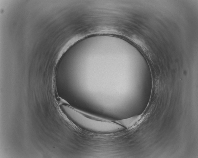 X0000087681374200705181719