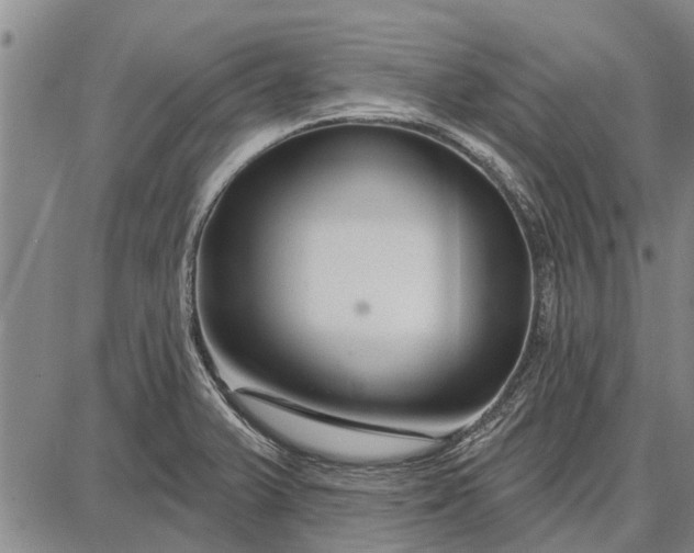 X0000087681375200705181719