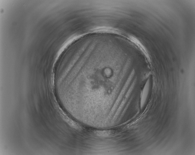 X0000087681376200705181719