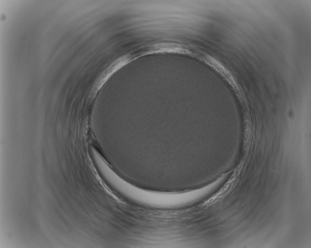 X0000087681377200705181719