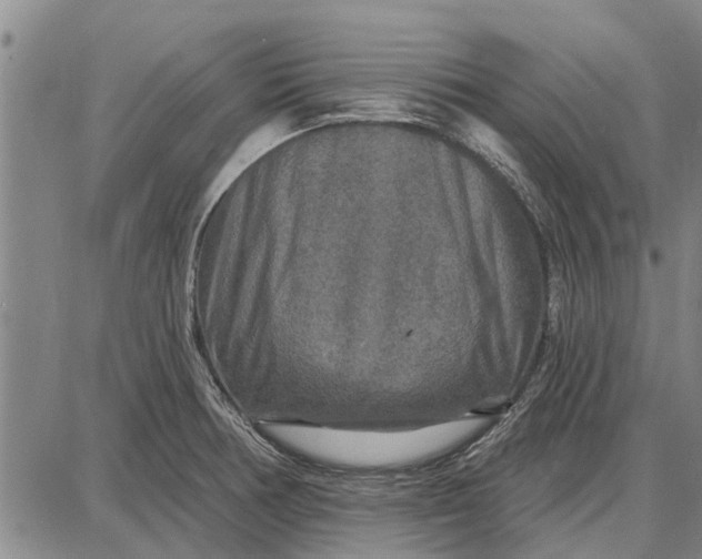 X0000087681378200705181719