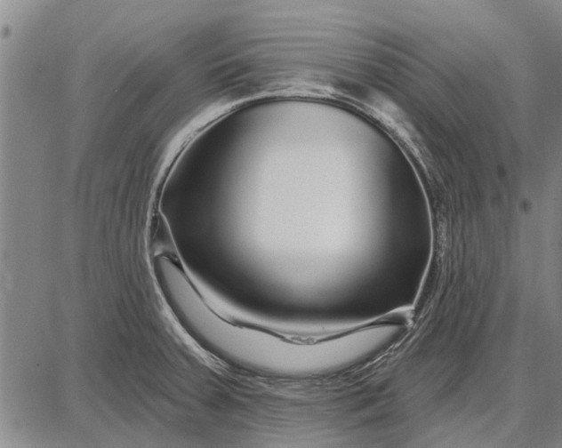 X0000087681379200705181719