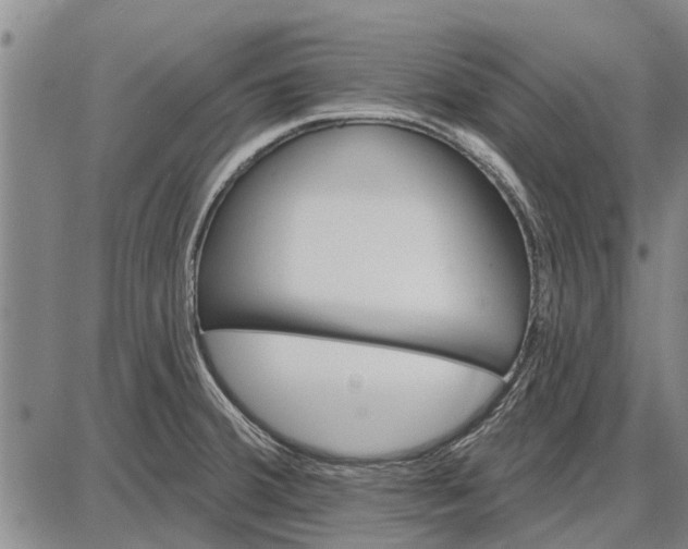 X0000087681380200705181719