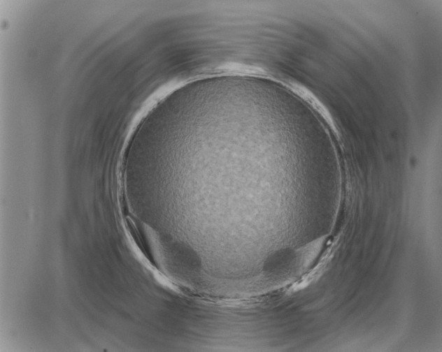 X0000087681381200705181719