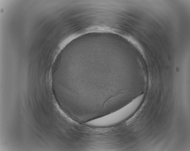 X0000087681382200705181719