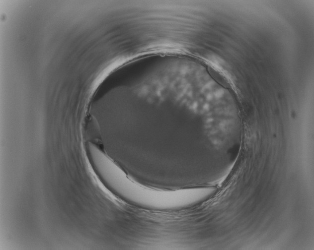 X0000087681383200705181719