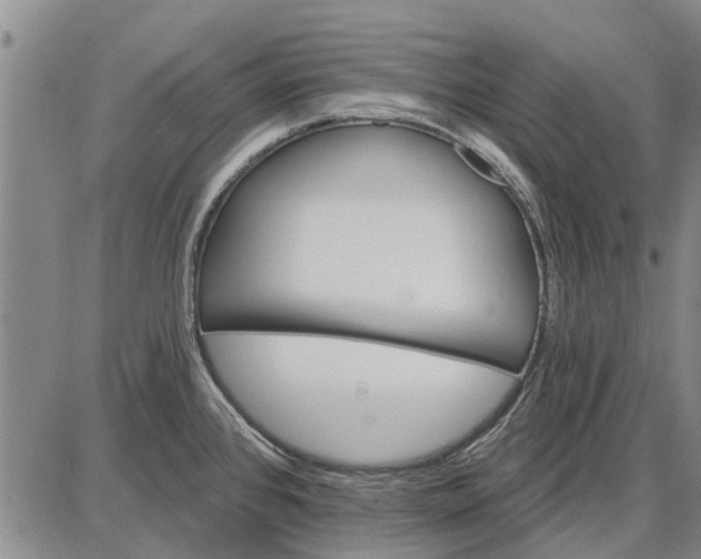 X0000087681384200705181719