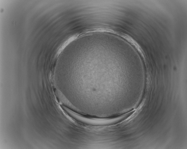 X0000087681385200705181719