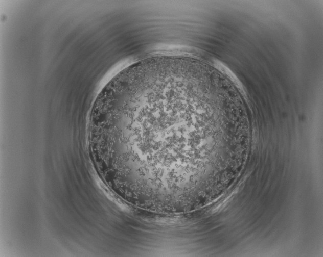 X0000087681386200705181719