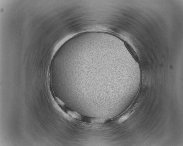 X0000087681387200705181719