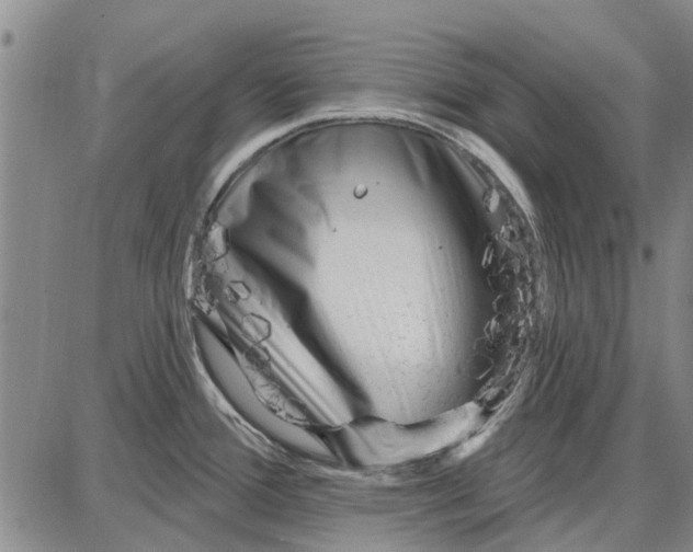 X0000087681388200705181719