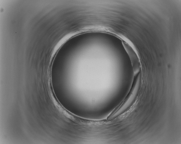 X0000087681389200705181719