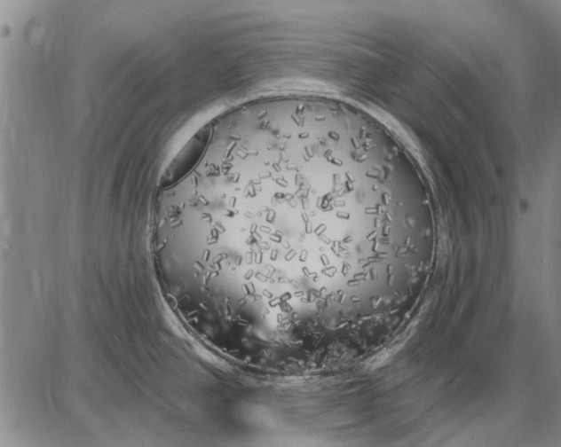 X0000087681390200705181719