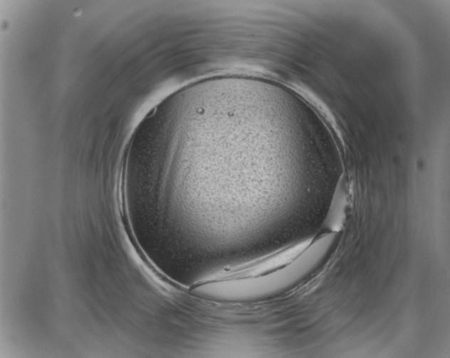 X0000087681391200705181719