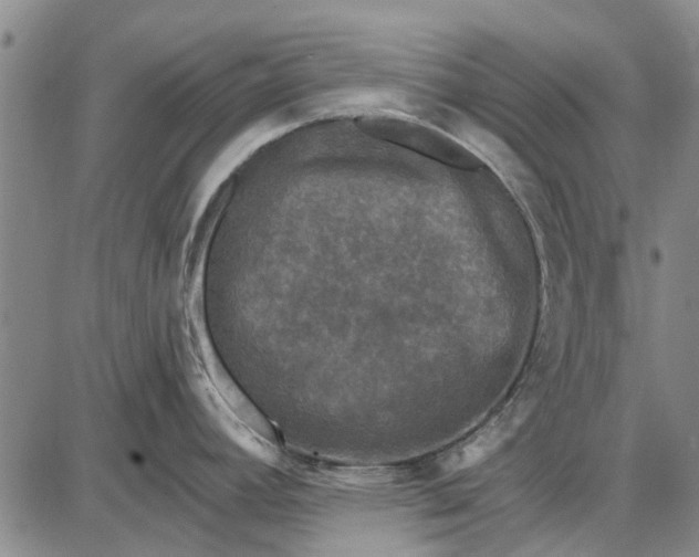 X0000087681392200705181719