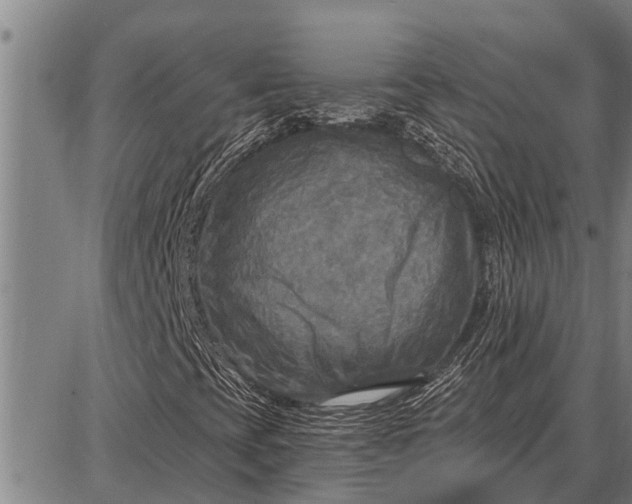 X0000087681393200705181718