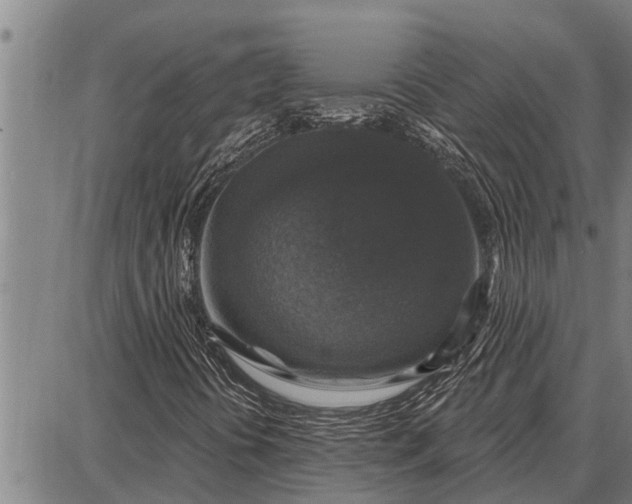 X0000087681394200705181718