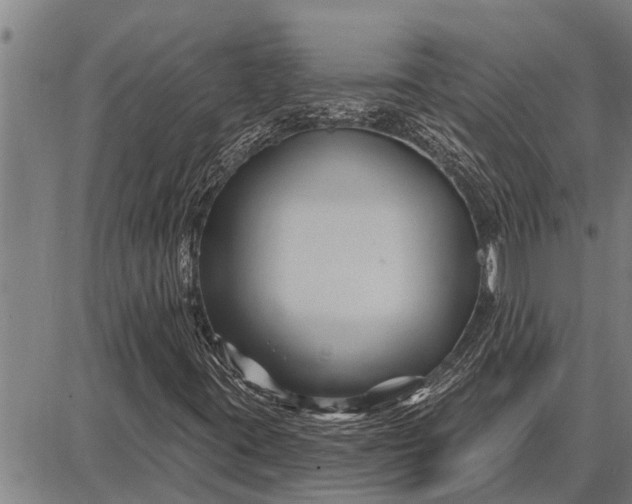 X0000087681395200705181718