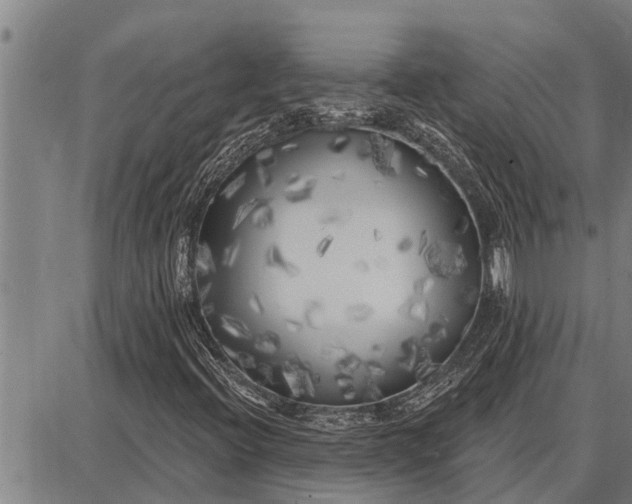 X0000087681396200705181718