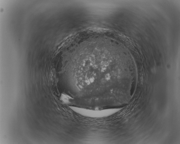 X0000087681397200705181718