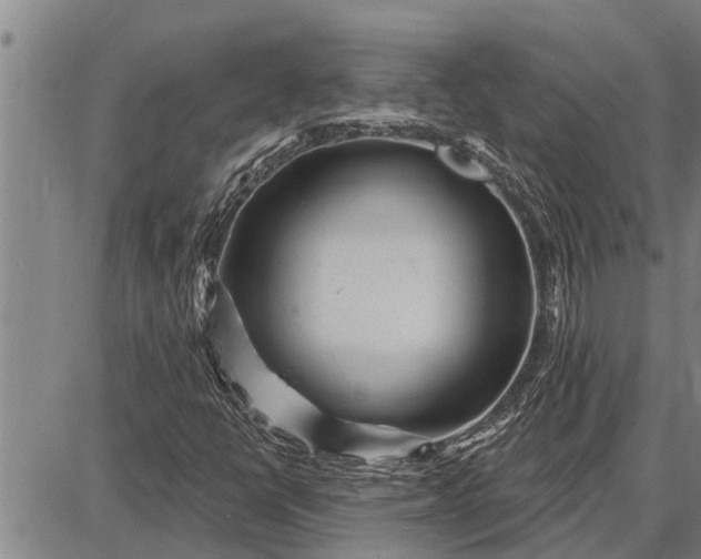 X0000087681398200705181718