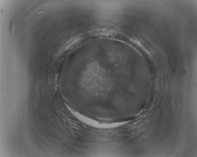 X0000087681399200705181718