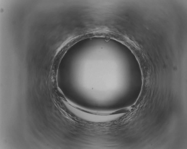 X0000087681400200705181718