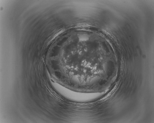 X0000087681401200705181718