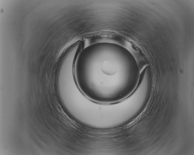 X0000087681402200705181718