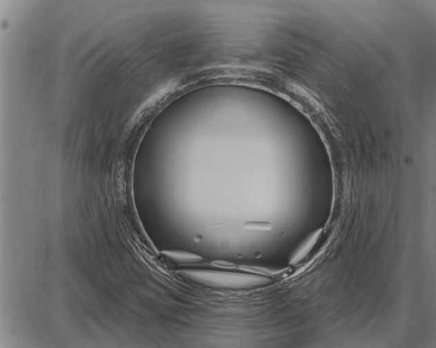 X0000087681403200705181718