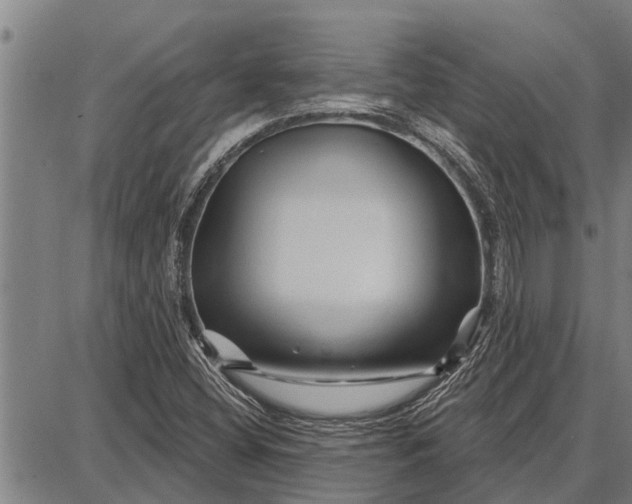 X0000087681404200705181718