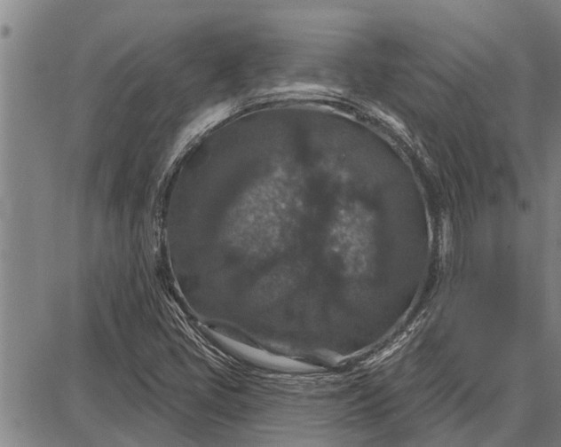 X0000087681405200705181718