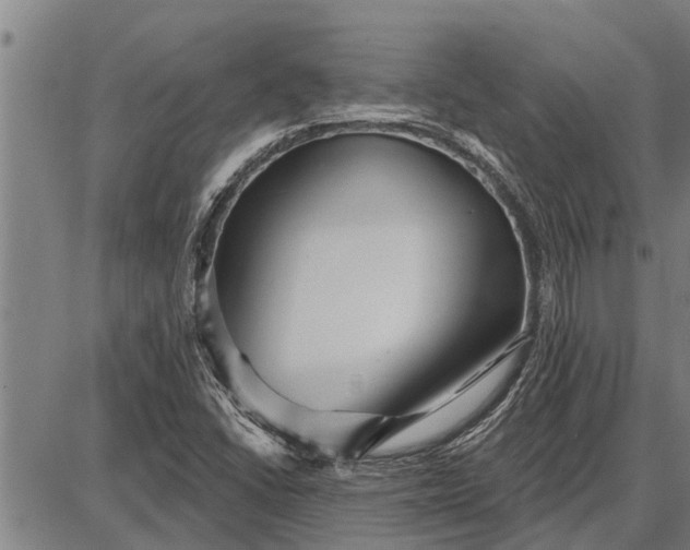 X0000087681406200705181718