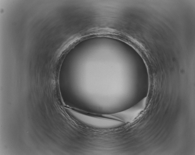 X0000087681407200705181718