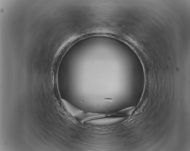 X0000087681408200705181718